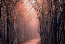 皇马与巴萨的历史交战记录里，藏着哪些关键看点？