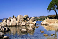 中超360直播能免费观看吗？正规观赛渠道有哪些？